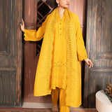 3PC Stitched Cambric Embroidered Suit (PML3PBC291)