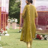 FESTIVE FORMAL CHIFFON EMBROIDERED SUIT