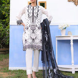 3pc Stitched Basic Embroidered Cambric Suit