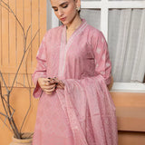 3PC Stitched Mukesh Printed Suit (SPL3PEC085)