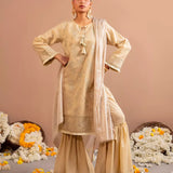 3PC Stitched Festive Embroidered Suit (No057)