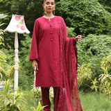 3PC STITCHED CHIKANKARI CAMBRIC EMBROIDERED SUIT (CK006)