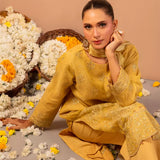 3Pc Unstitched Festive Embroidered Suit (No060)