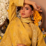 3PC Stitched Festive Embroidered Suit (No060)