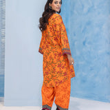 1PC Stitched Printed Khaddar Dress (AL136-A)