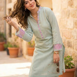 2PC Stitched Embroidered Suit (SPW6BSE149-B)