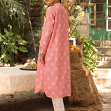 1pc - Stitched Basic Printed Embroidred Khaddar Shirt