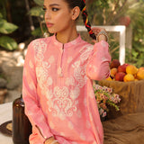 1pc - Stitched Basic Printed Embroidred Khaddar Shirt