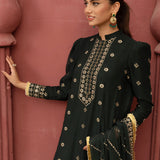 3pc - Stitched Festive Embroidered Suit