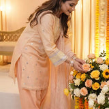 3PC Stitched Embroidered Suit (EUAL3PELP177)