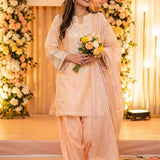 3PC Stitched Embroidered Suit (EUAL3PELP177)