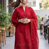 3PC Stitched Cambric Embroidered Suit (PML3PBC295)