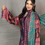 3PC Stitched Printed Suit (WP7L4PEF343)