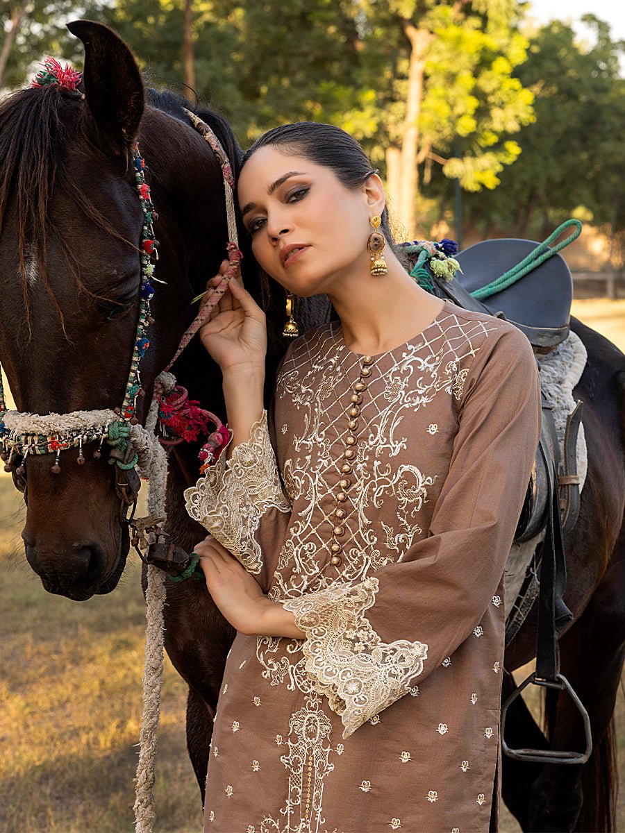 2pc Unstitched - Embroidered Lawn Suit (RE-00015) - SalitexOnline